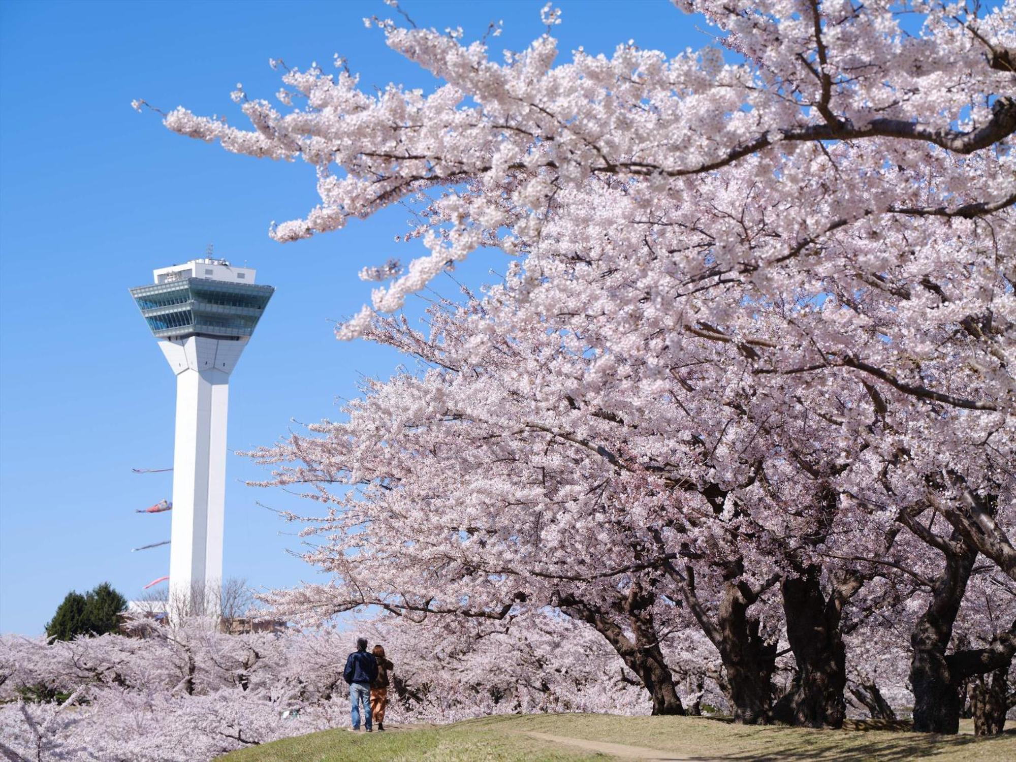 Gran Palette Hakodate Exterior photo